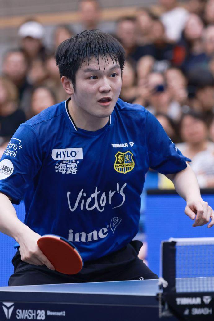 樊振东立功！德甲升至第三，距榜首仅差2分